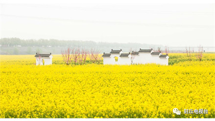  封丘花海野餐季，數千畝油菜花海為你盛開(kāi)；更備有野餐包、一次性餐具、精美油菜花束、格子地席、垃圾袋等家庭野餐套組；此外就餐區鋪設挑高棧道，設置太陽(yáng)傘、民謠樂(lè )隊；配以高標準的保潔服務(wù)，一切細微服務(wù)，只為你的完美就餐體驗。 一朝花開(kāi)，萬(wàn)眾矚目，邀你共赴封丘油菜花節“鄉趣花海野餐季”！ 