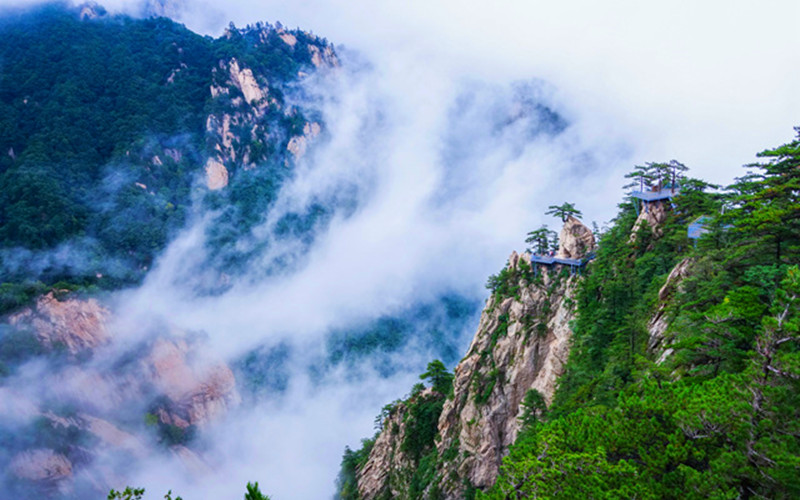 康養福地文旅興 厚重魯山綻新彩